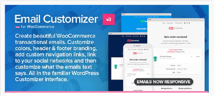 Paid WooCommerce Plugins,Paid WooCommerce Plugin