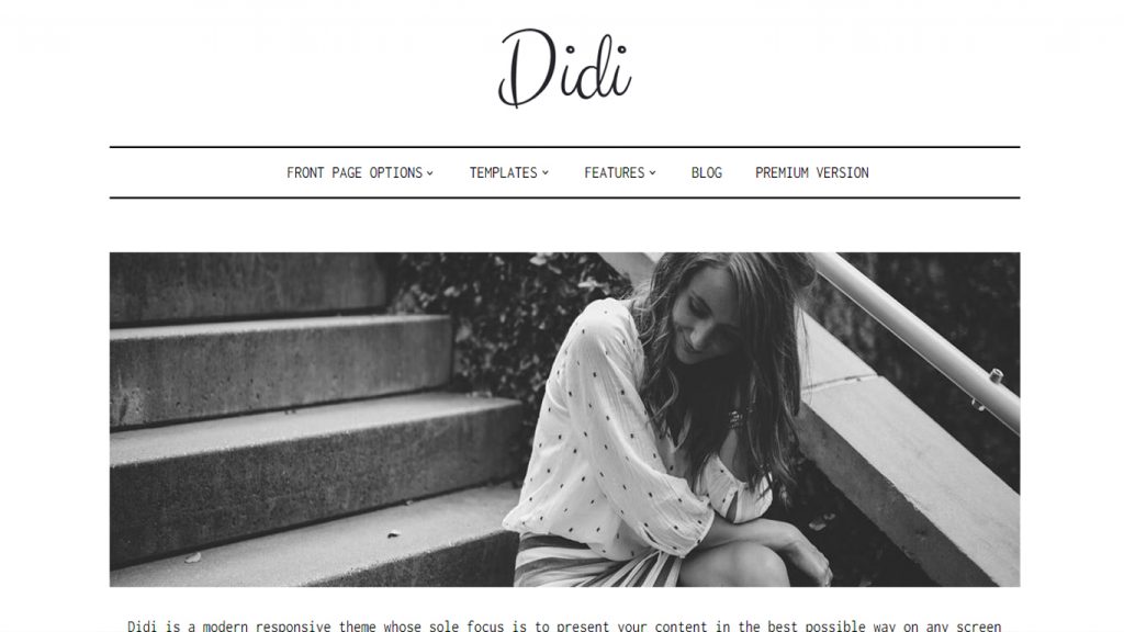 didi : Free WordPress theme