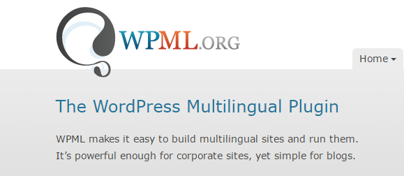 WPML plugin