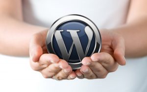 wordpress business