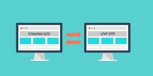 WordPress Staging Site