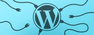 Ways of Saving Time While Creating a New WordPress Website