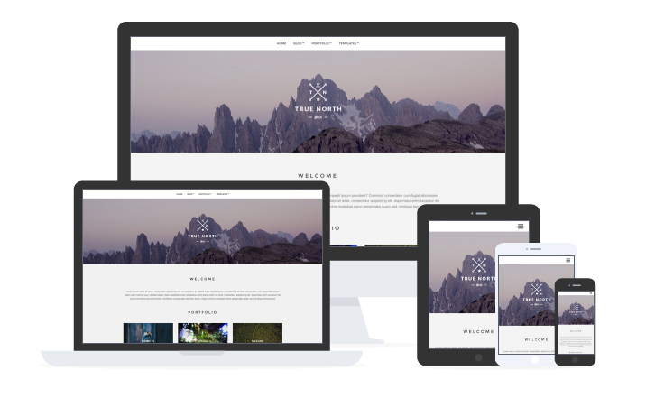 True North: WordPress Resume Theme