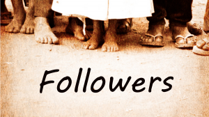 Efficient Identification and Growth of WordPress Followers