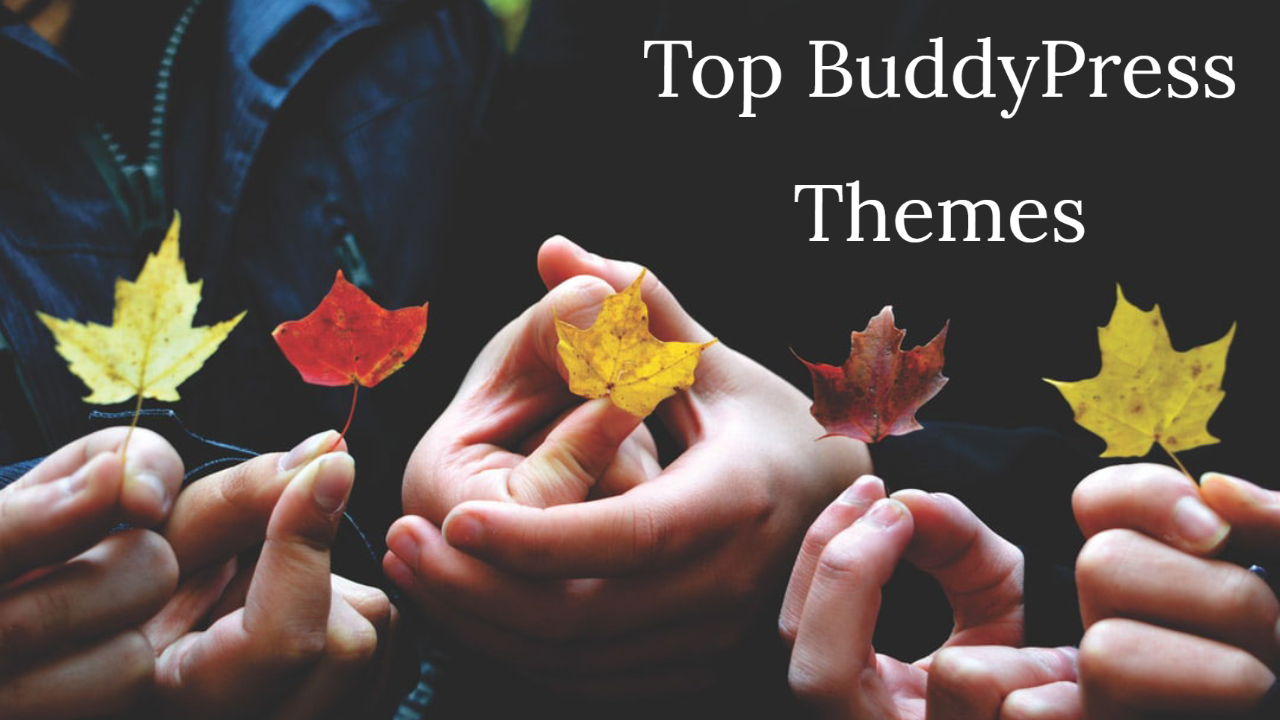 Top 6 WordPress BuddyPress Themes In 2020