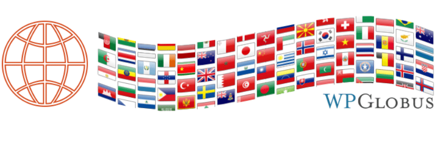 change language of website