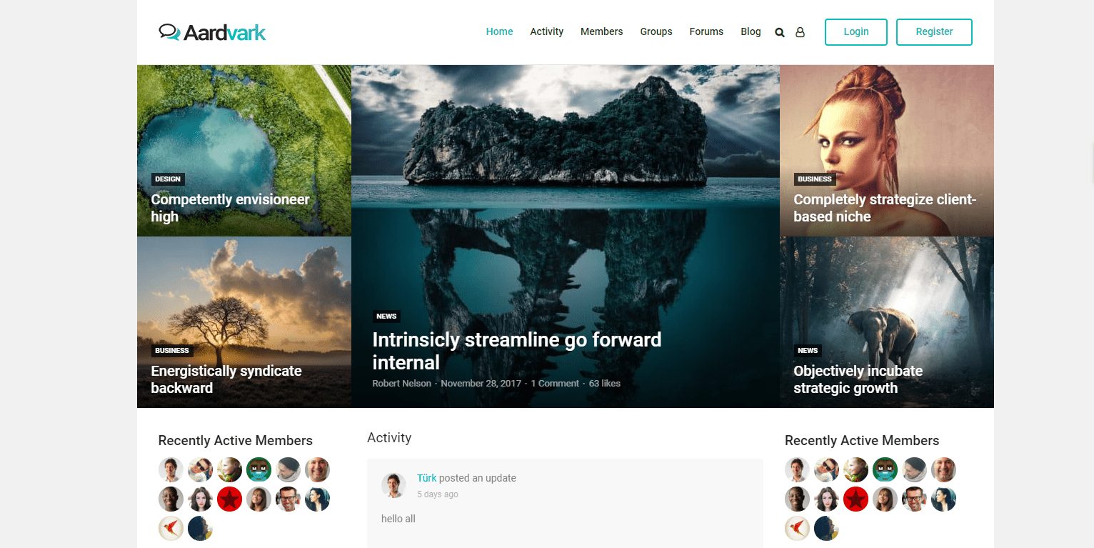 Aardvark- Community WordPress themes
