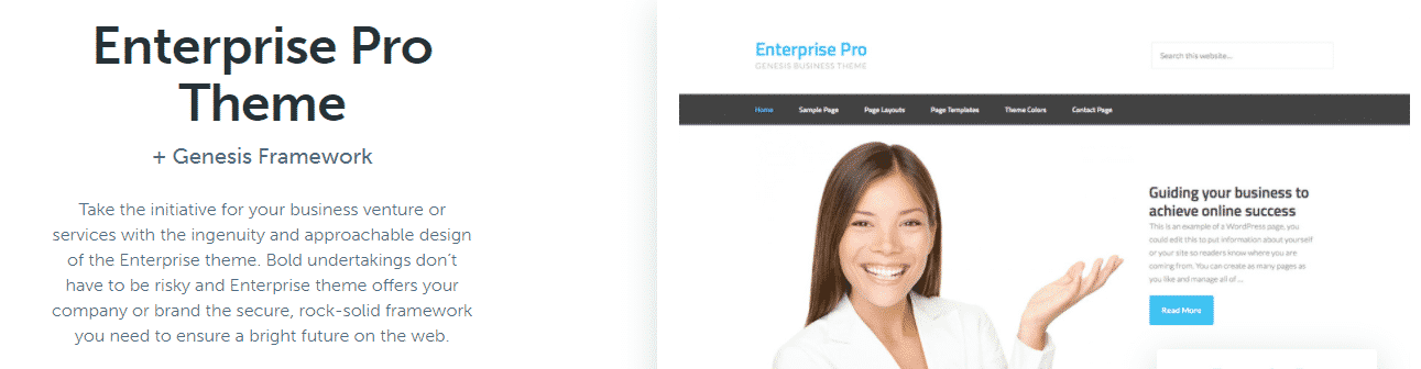 corporate WordPress theme