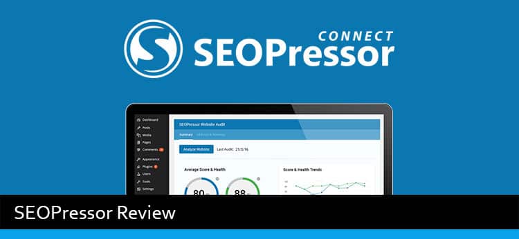 WordPress SEO plugin