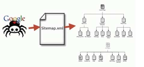Google Indexing