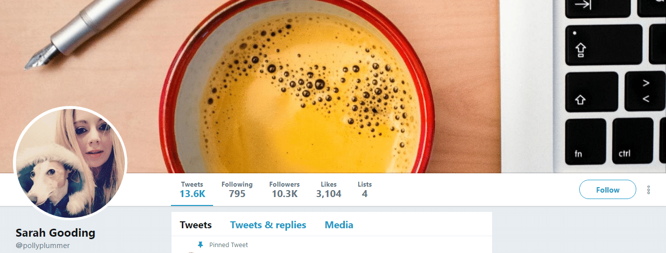 Top WordPress Influencers on twitte