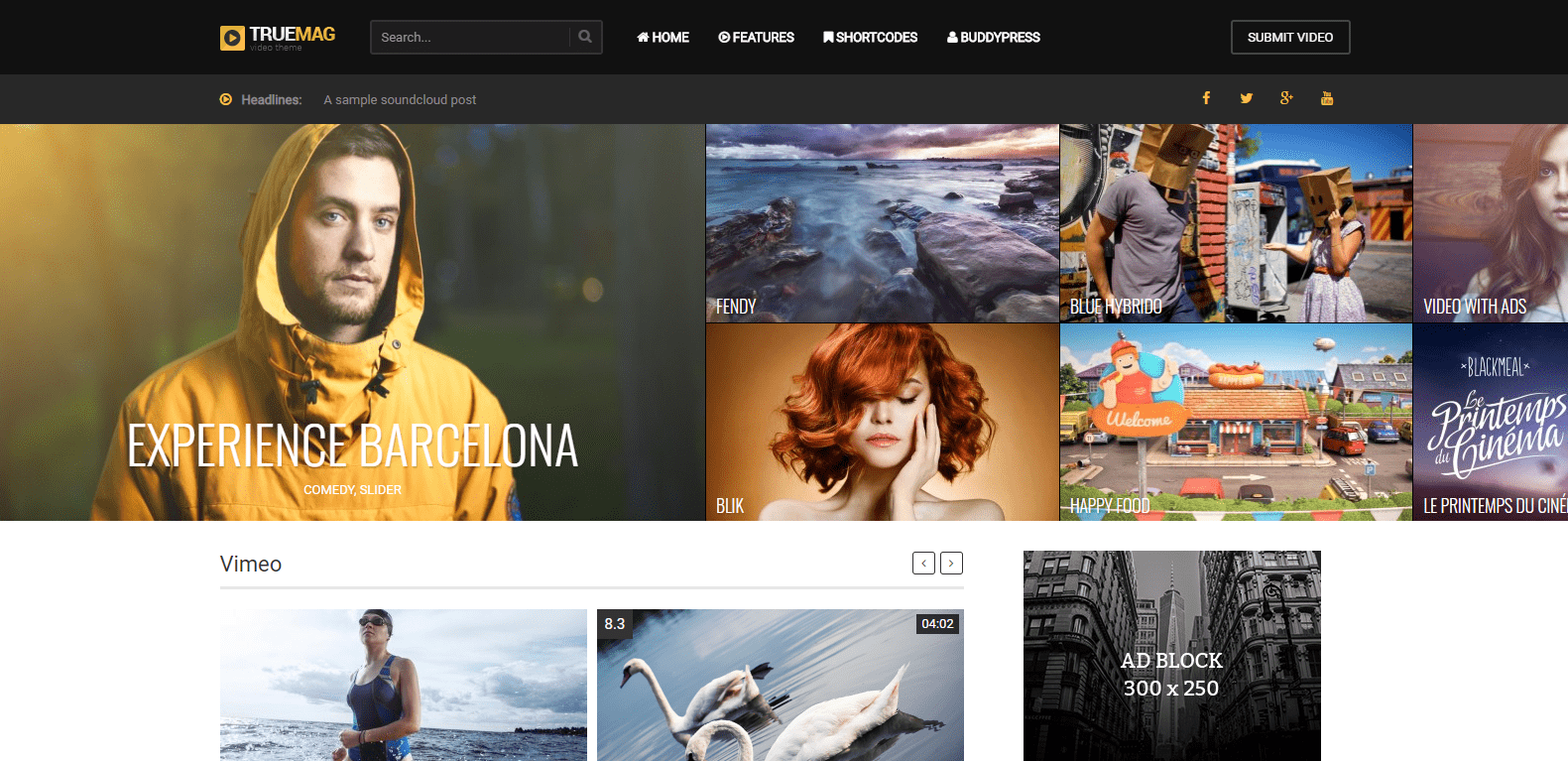 True Mag- WordPress Video themes