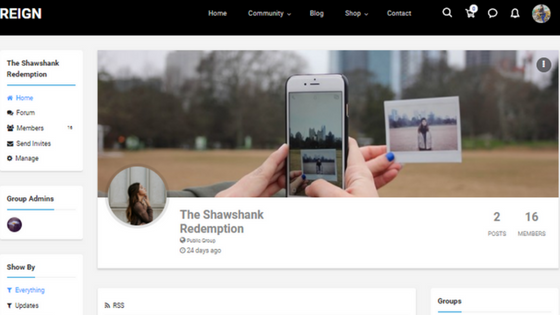 BuddyPress Theme,BuddyPress Demo