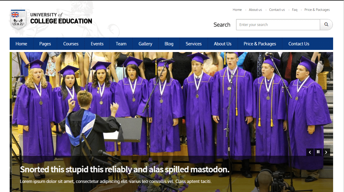 online learning website