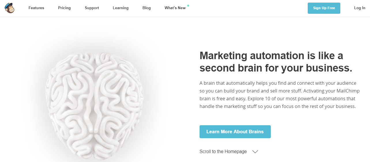 WordPress Email Marketing Plugins
