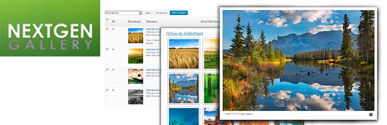 WordPress website Design
