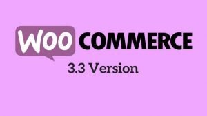 3.3 Version