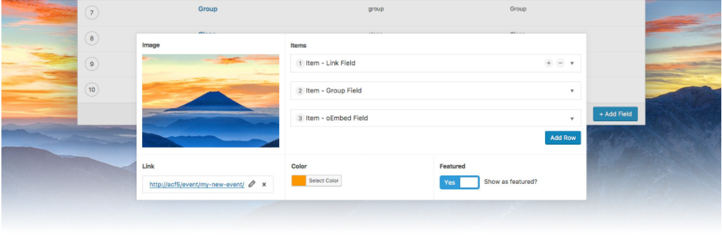 Advanced Custom Fields plugin
