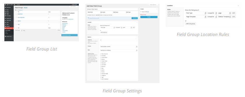 Advanced Custom Fields Plugin