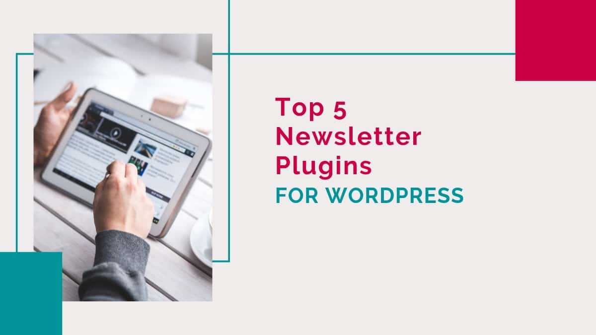 Newsletter Plugins