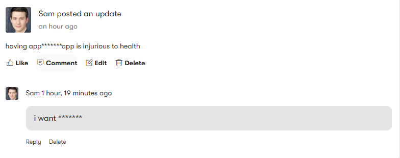 buddypress profanity