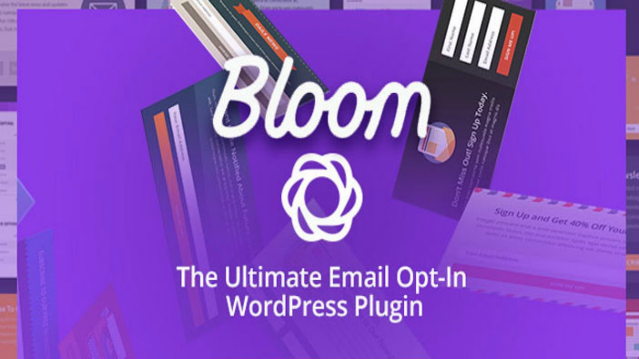 WordPress Subscriber List Plugins