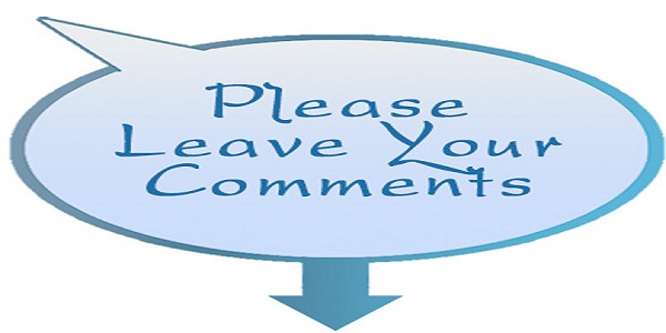 Blog Post Comment