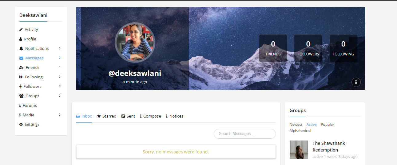 BuddyPress, BuddyPress theme