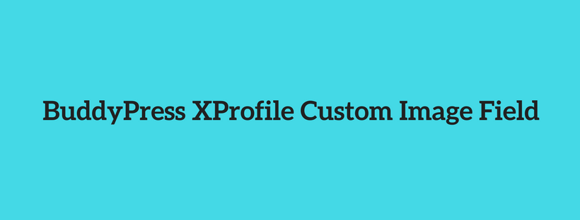 BuddyPress Profile Plugins