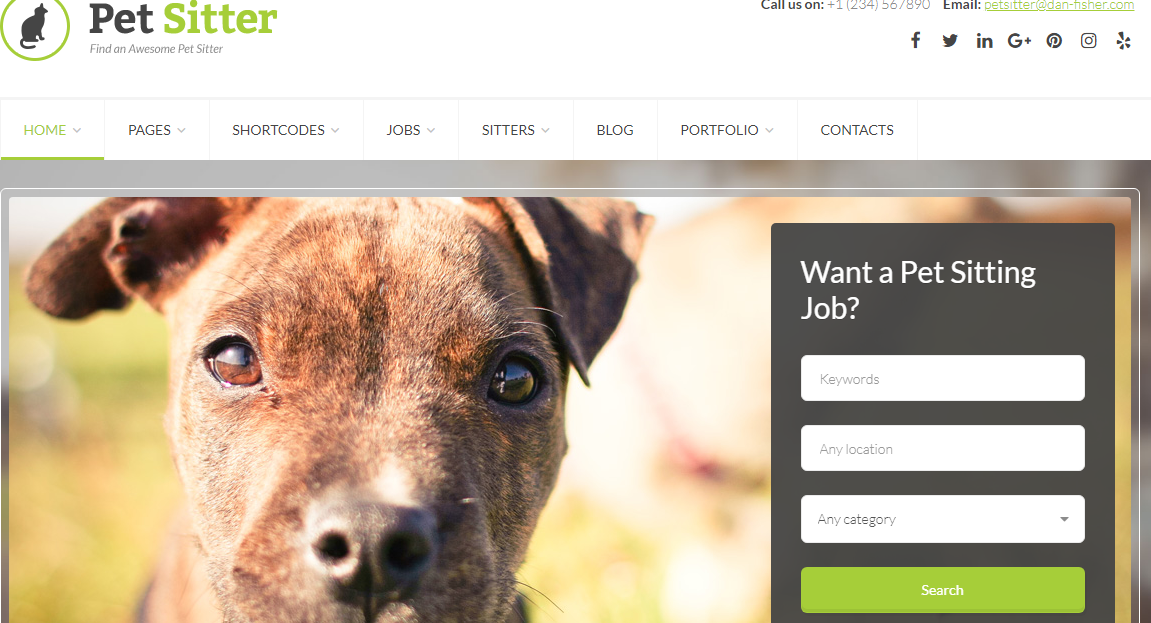 Pet Sitter