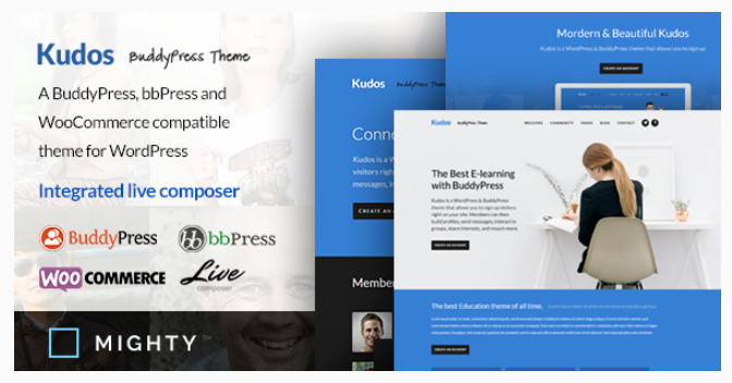 BuddyPress WordPress Themes- BuddyPress WordPress Themes