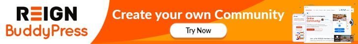 BuddyPress Theme