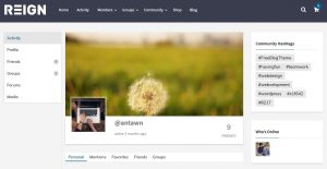buddypress