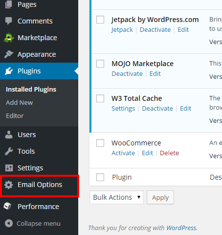 Custom Email Options Plugin