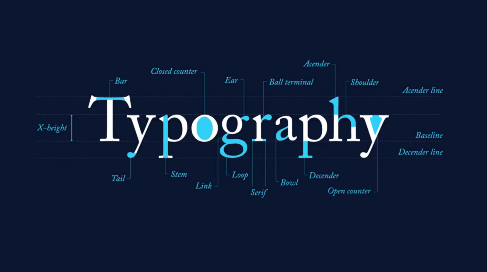 Web Design Trends
