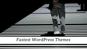 Fastest WordPress Themes