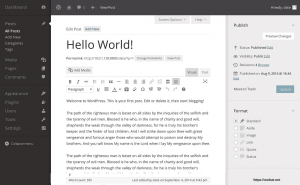 WordPress Formatting,Blog Formatting