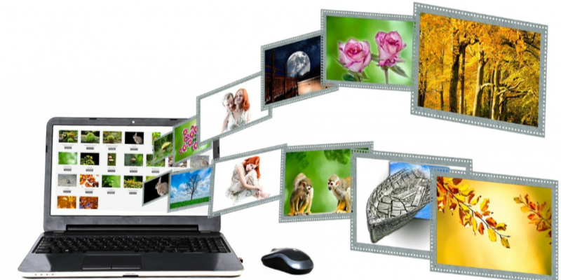 WordPress different image type