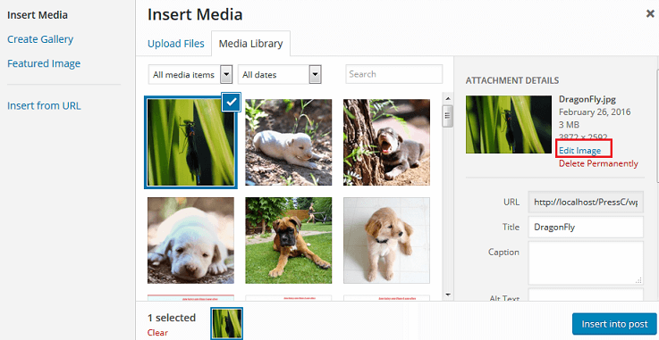 Images on WordPress,WordPress Images