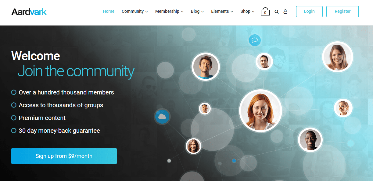 WordPress Membership Themes