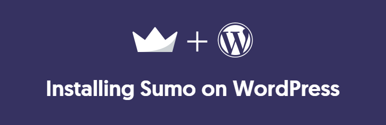 Social Media WordPress Plugins