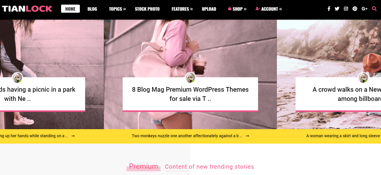 WordPress Membership Themes