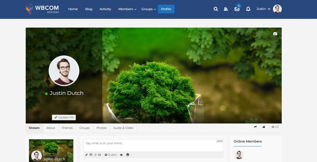 Best BuddyPress Theme