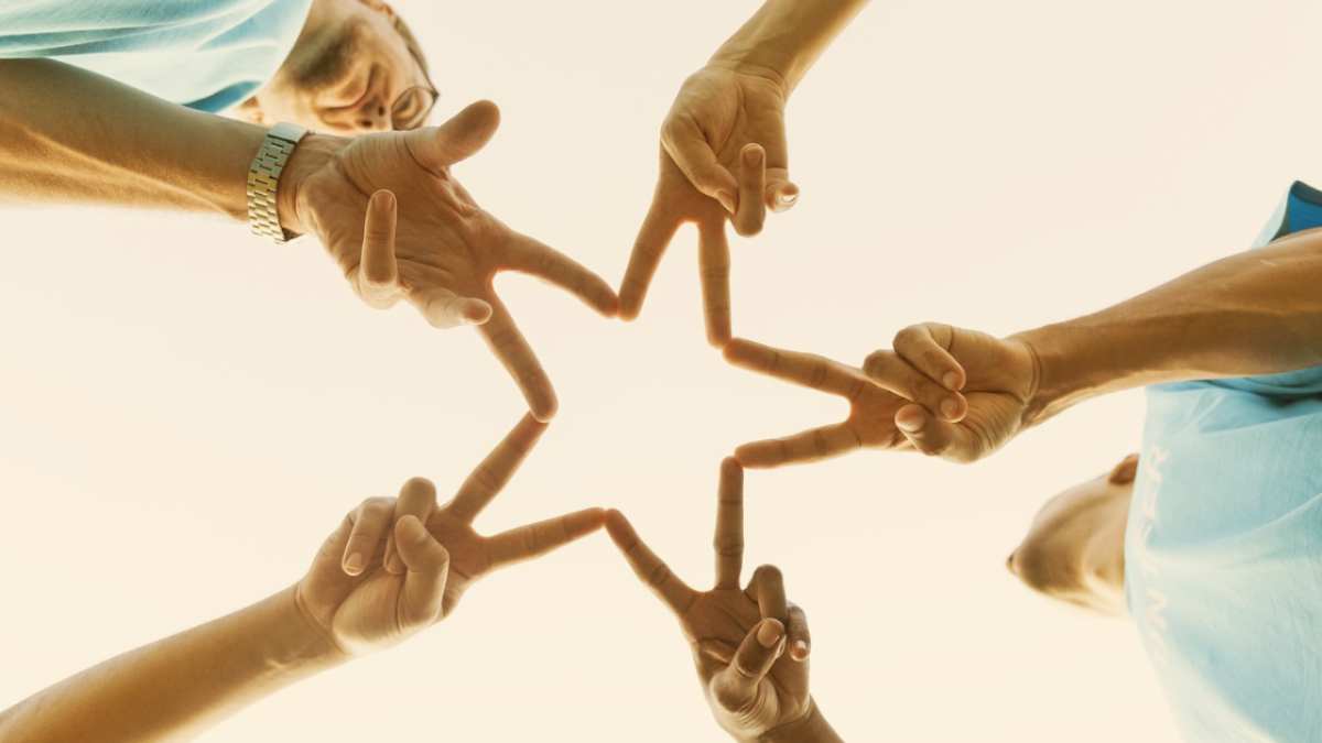 WordPress Themes For Non-Profit Organizations