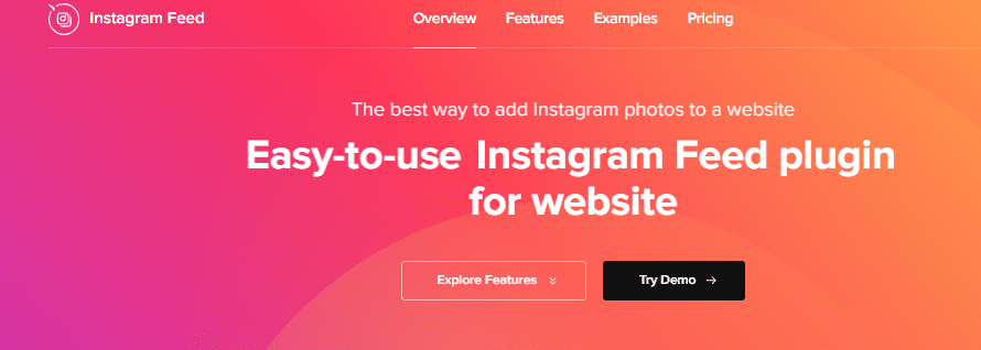 Instagram feed instagram gallery
