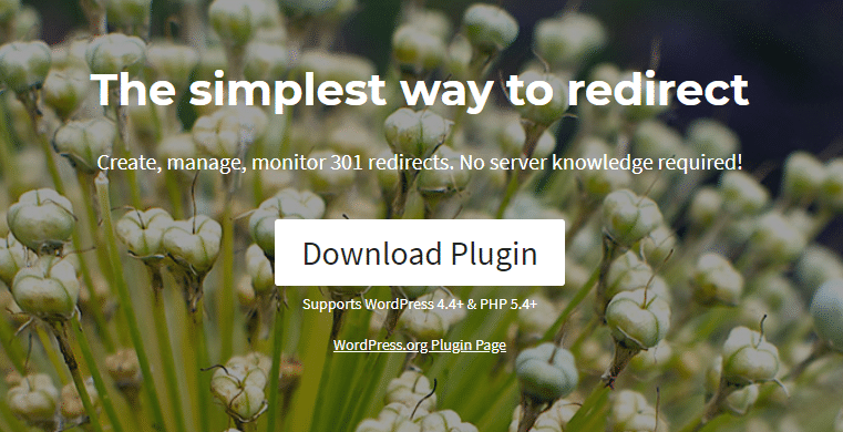 wordpress 404 plugins