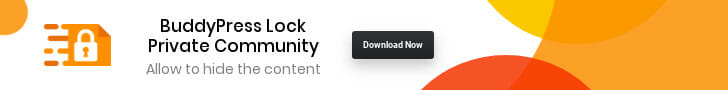 wordpress social media theme free: BuddyPress Lock