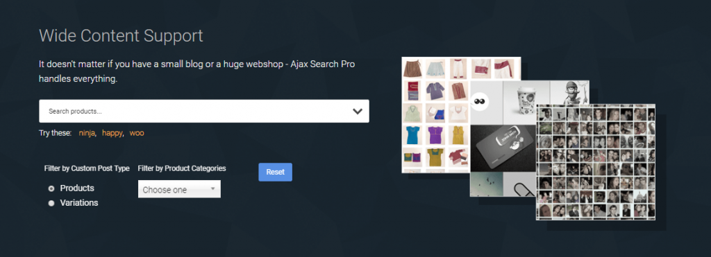 wordpress search plugin