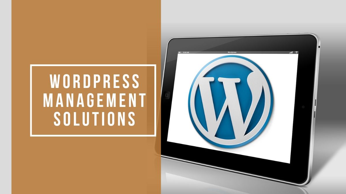 WordPress Management Solutions