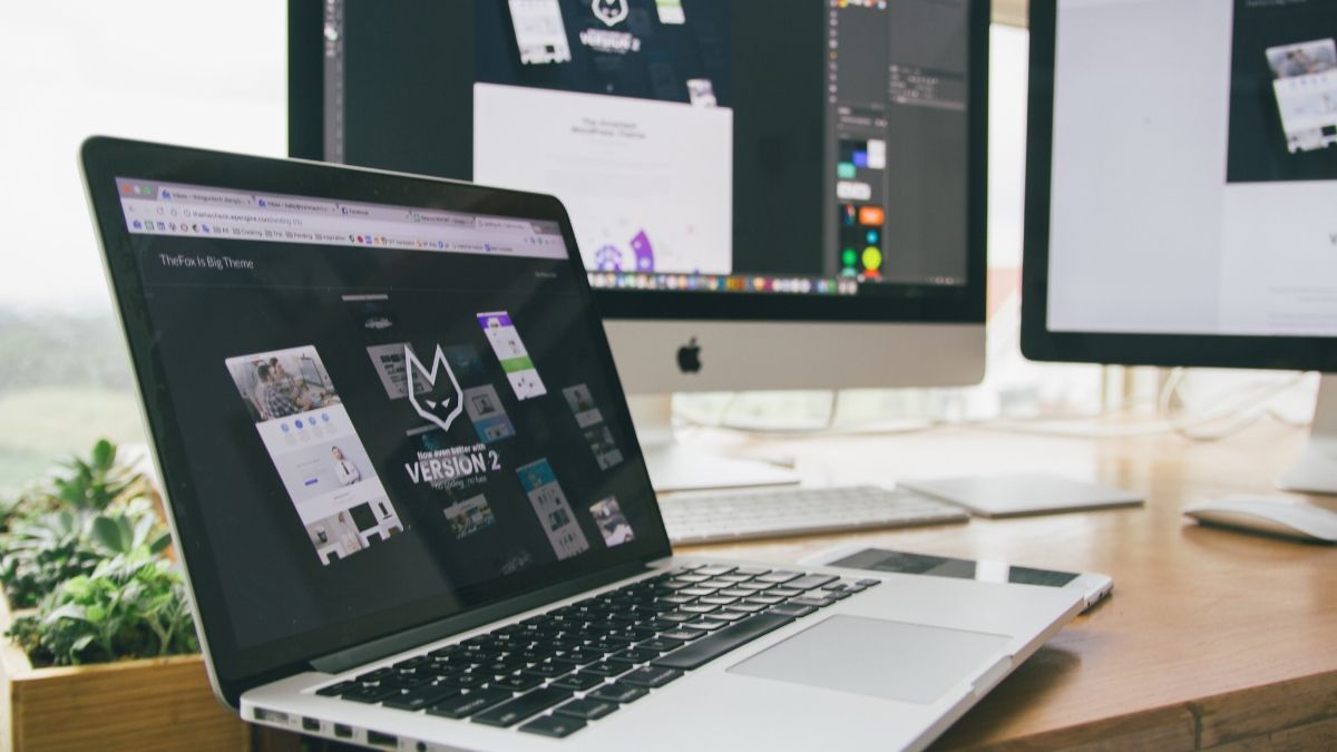 premium and free wordpress themes